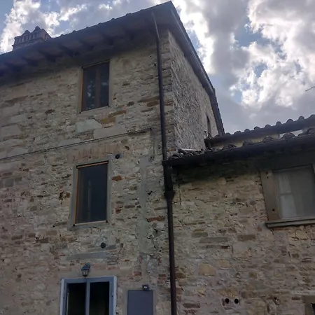 Bacio Daire Pelago